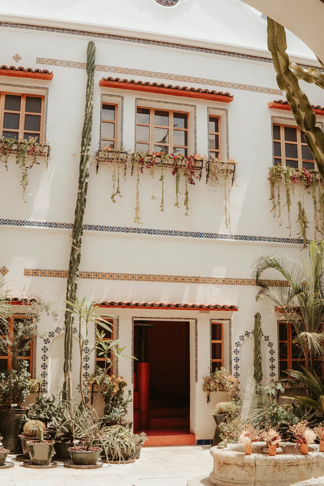 Courtyard of Grana B&B in Oaxaca with cacti, hanging plants, and tiled facade