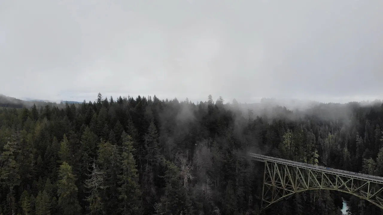 Foggy forest landscape with a green metal bridge extending over tall trees. Mist and gray sky create a mysterious, serene atmosphere at the High Steel Bridge in Washington