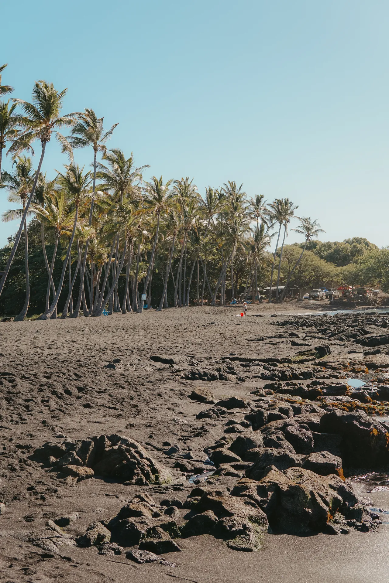 Punalu’u Black Sand Beach in the morning