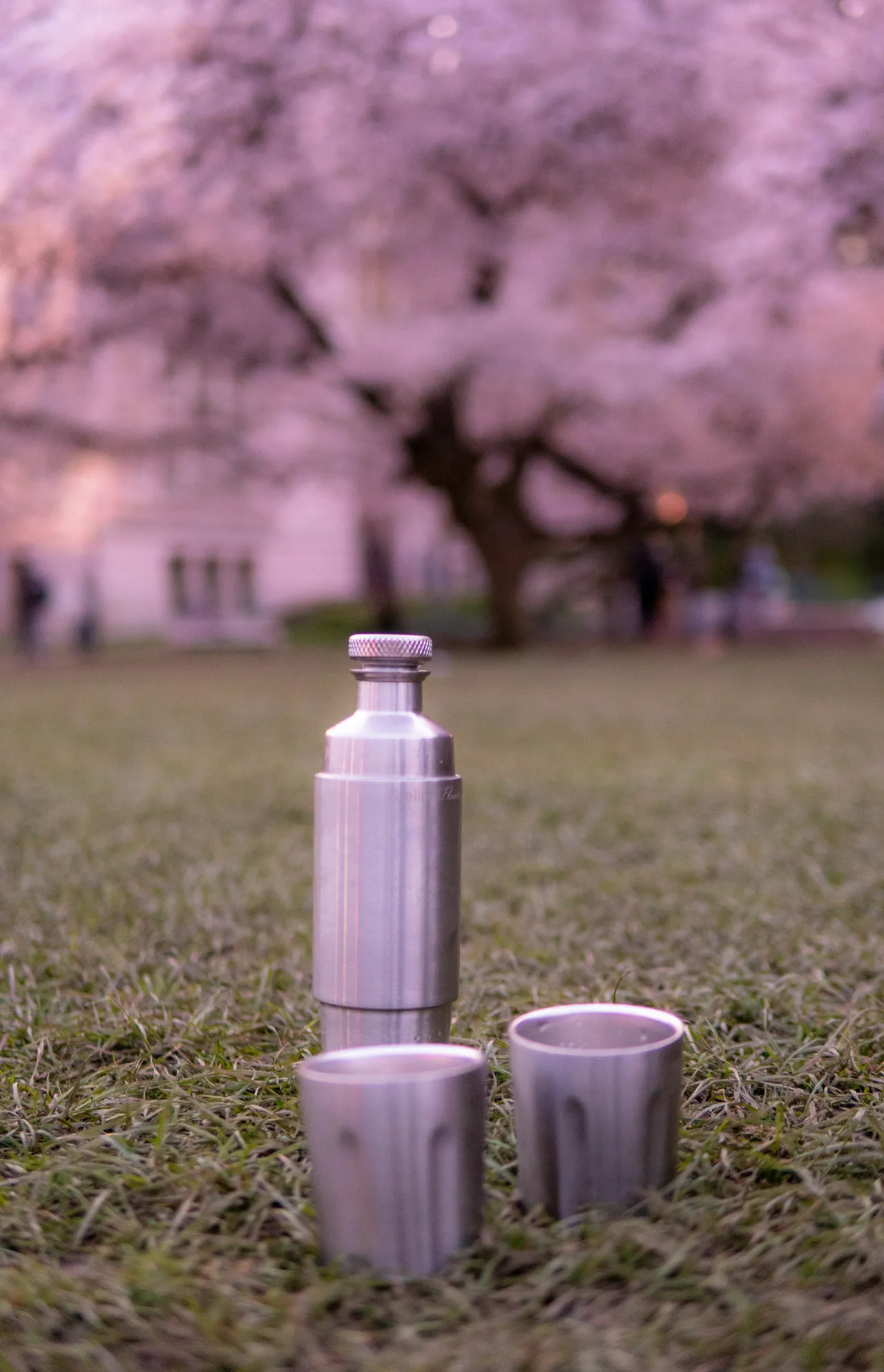 Brand collaboration work