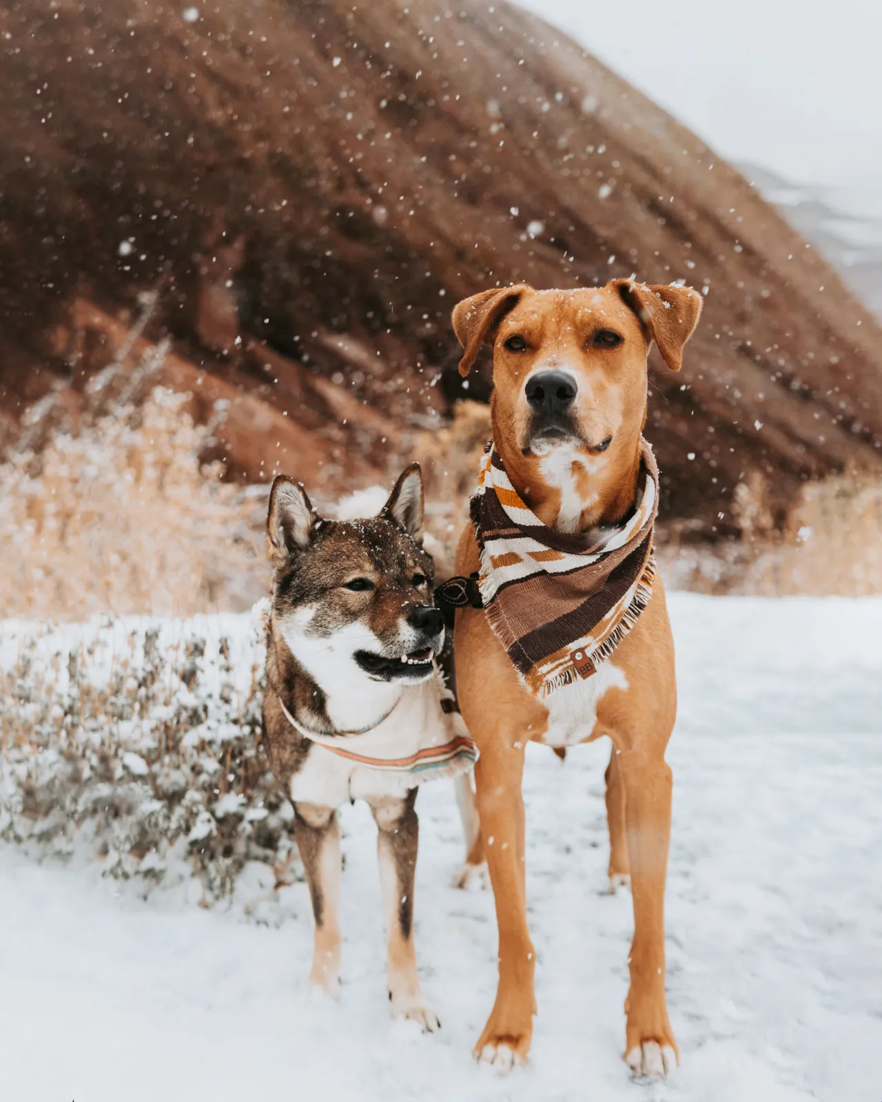 Brand collaboration work