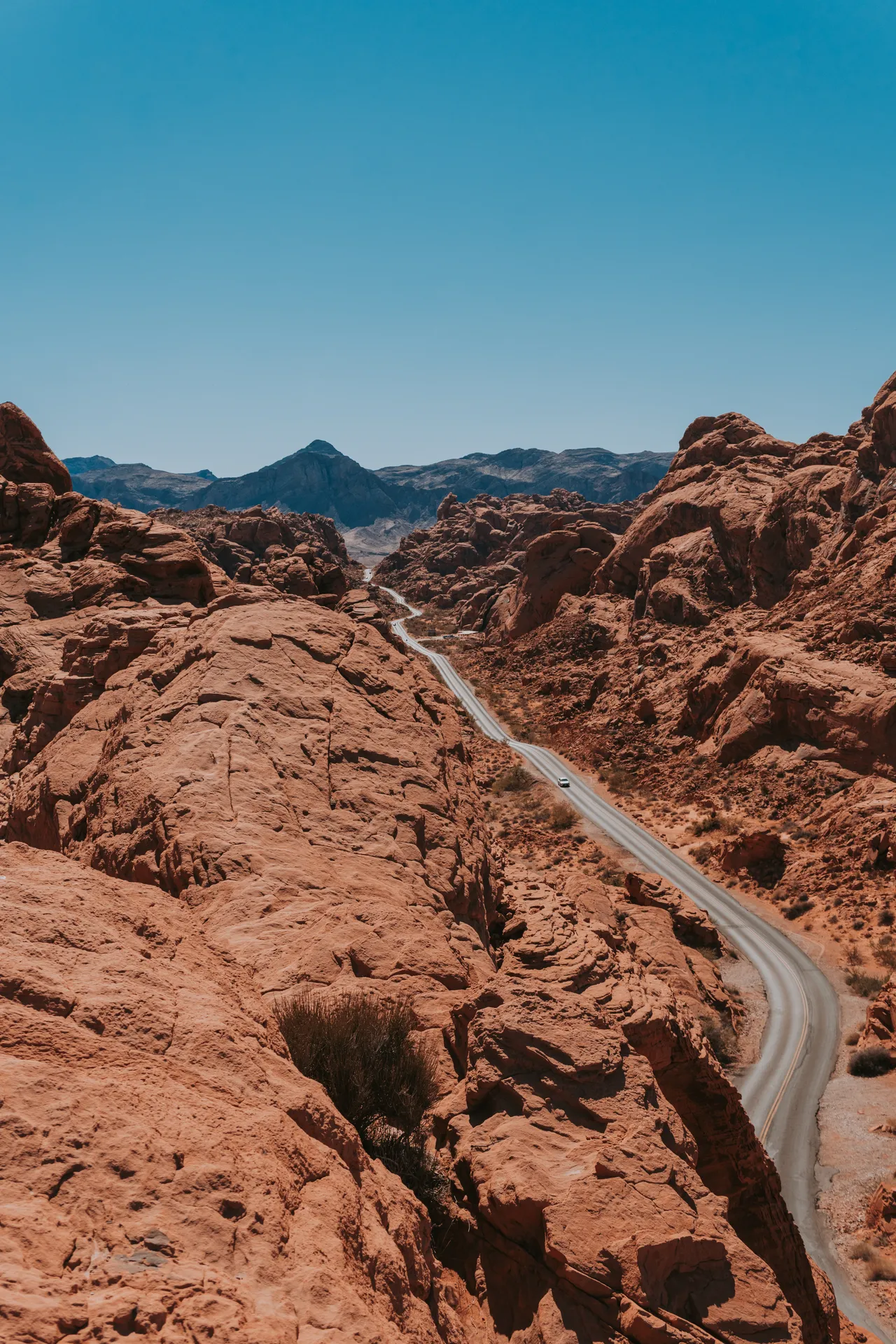 Nowhere to go, but everywhere.