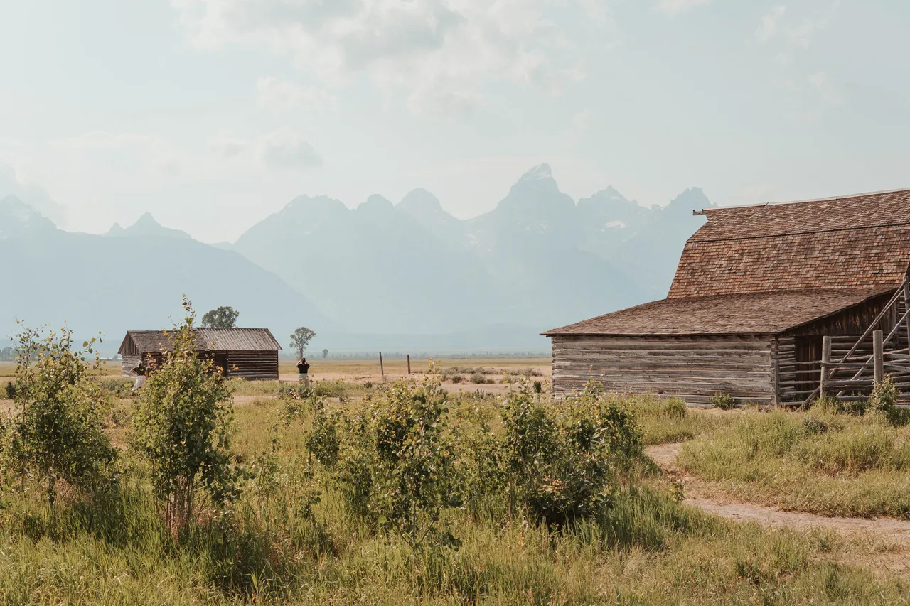 Mormon Row Barn in the summer at golden hour Jackson Hole Wyoming