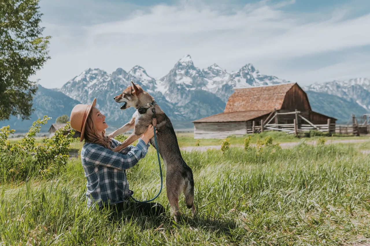 mormon row summertime