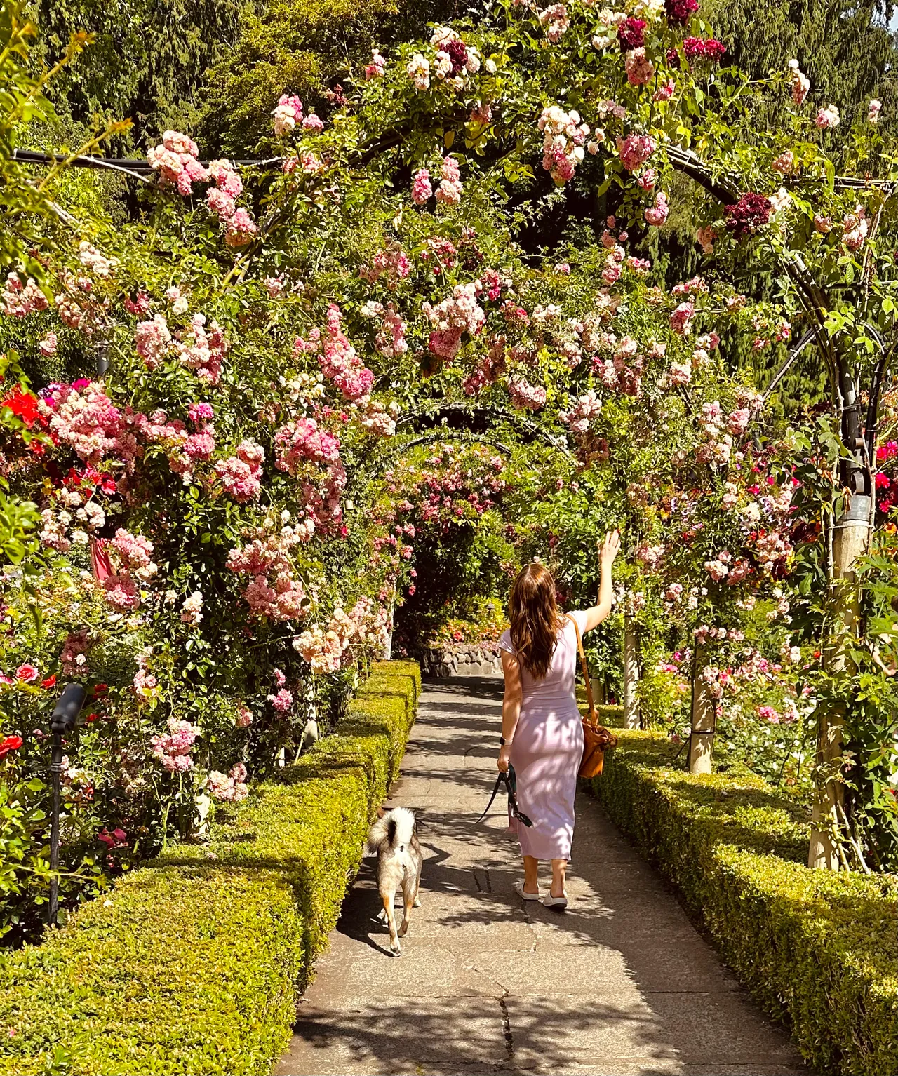 girl and dog at Butchart Gardens