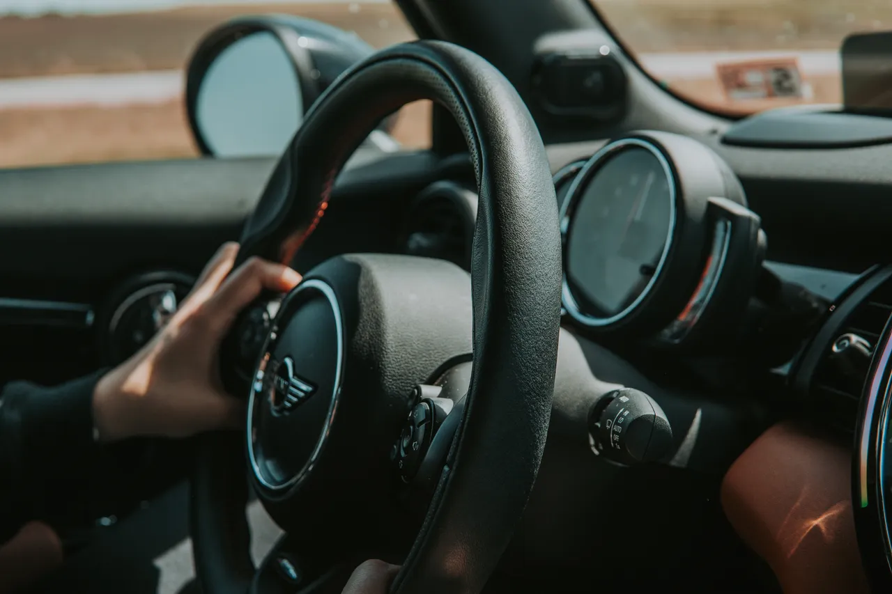 Essential Dog Road Trip Tips for Long Distances