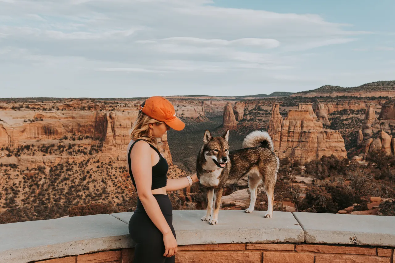 Living and Adventuring with a Reactive Dog: Tips and Strategies