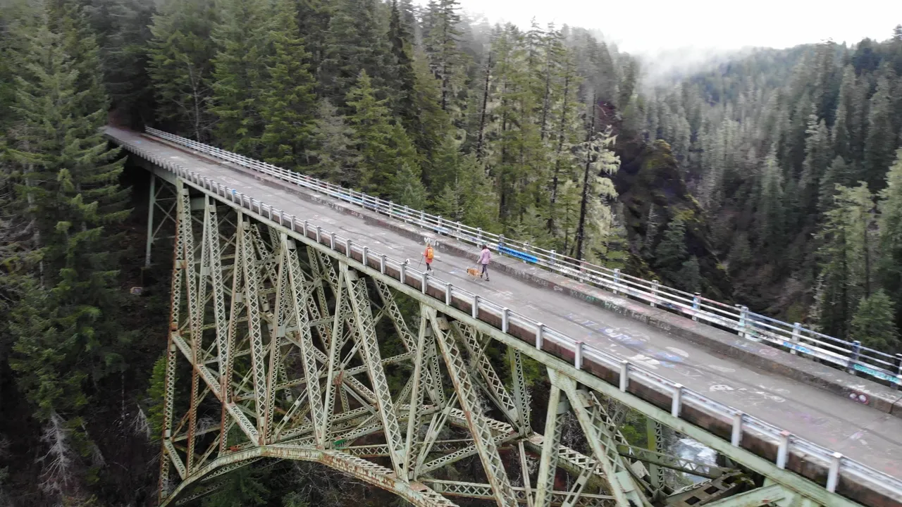 Two people walk their dogs on a rusted metal bridge called the High Steel Bridge in Washington over a forested canyon, surrounded by tall evergreen trees and misty background.