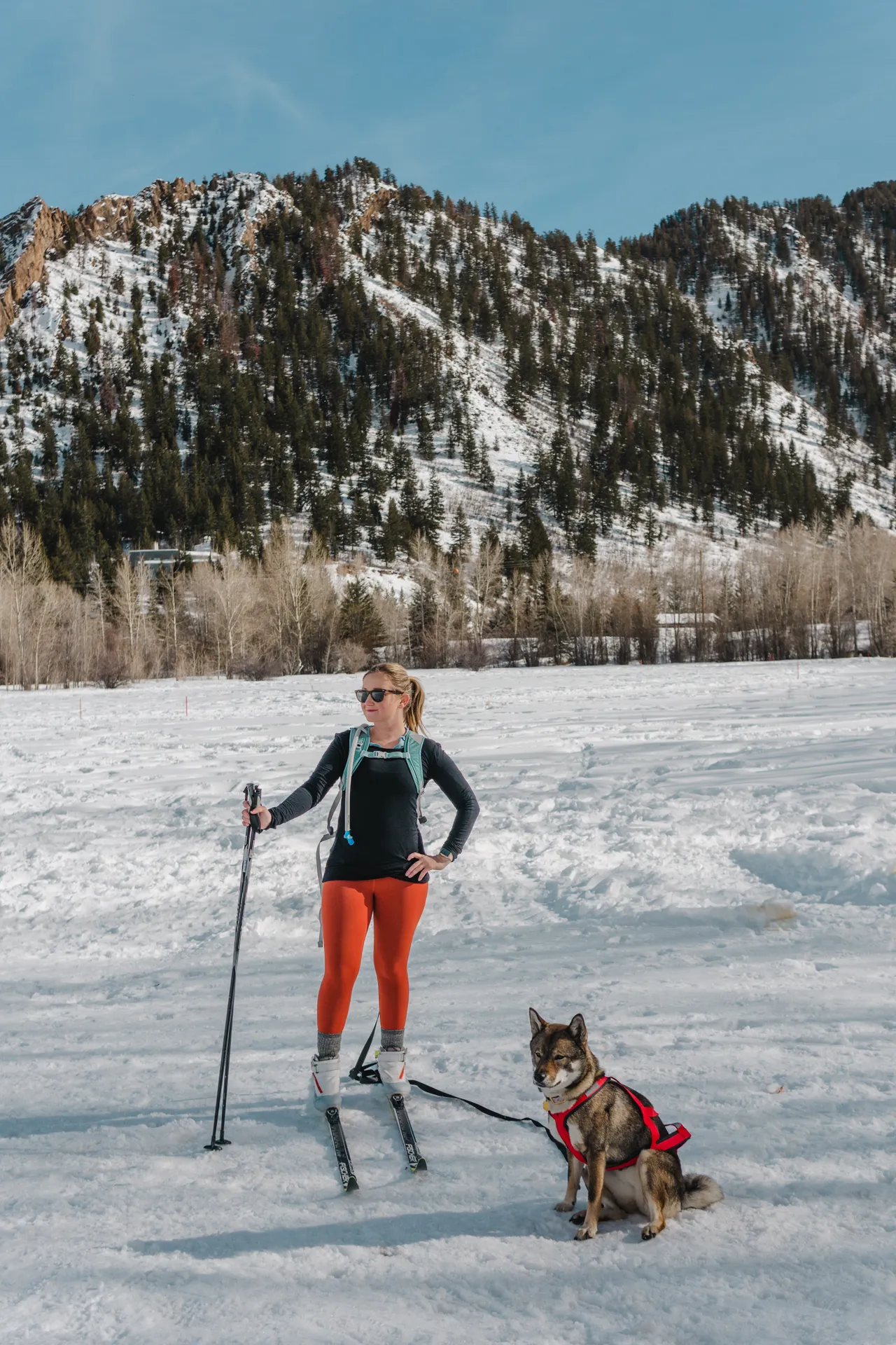 a woman cross country skiing with her dog in aspen colorado