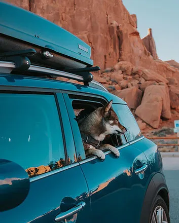 Blue MINI Cooper S Countryman parked in Moab, Utah