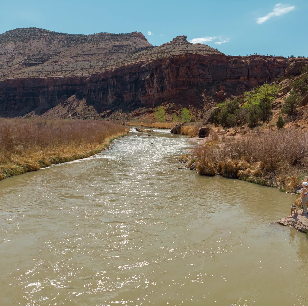 Dominguez Canyon gunnison river