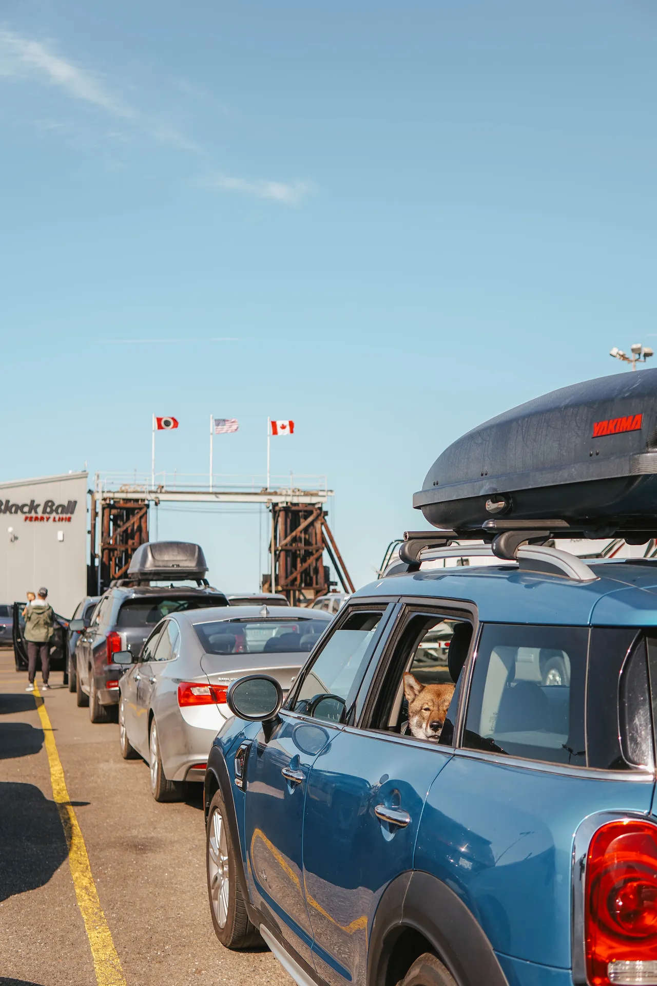 Cars lined up at a ferry terminal under clear skies; a dog peers from a blue car. Flags and "Black Ball Ferry Line" sign are visible.