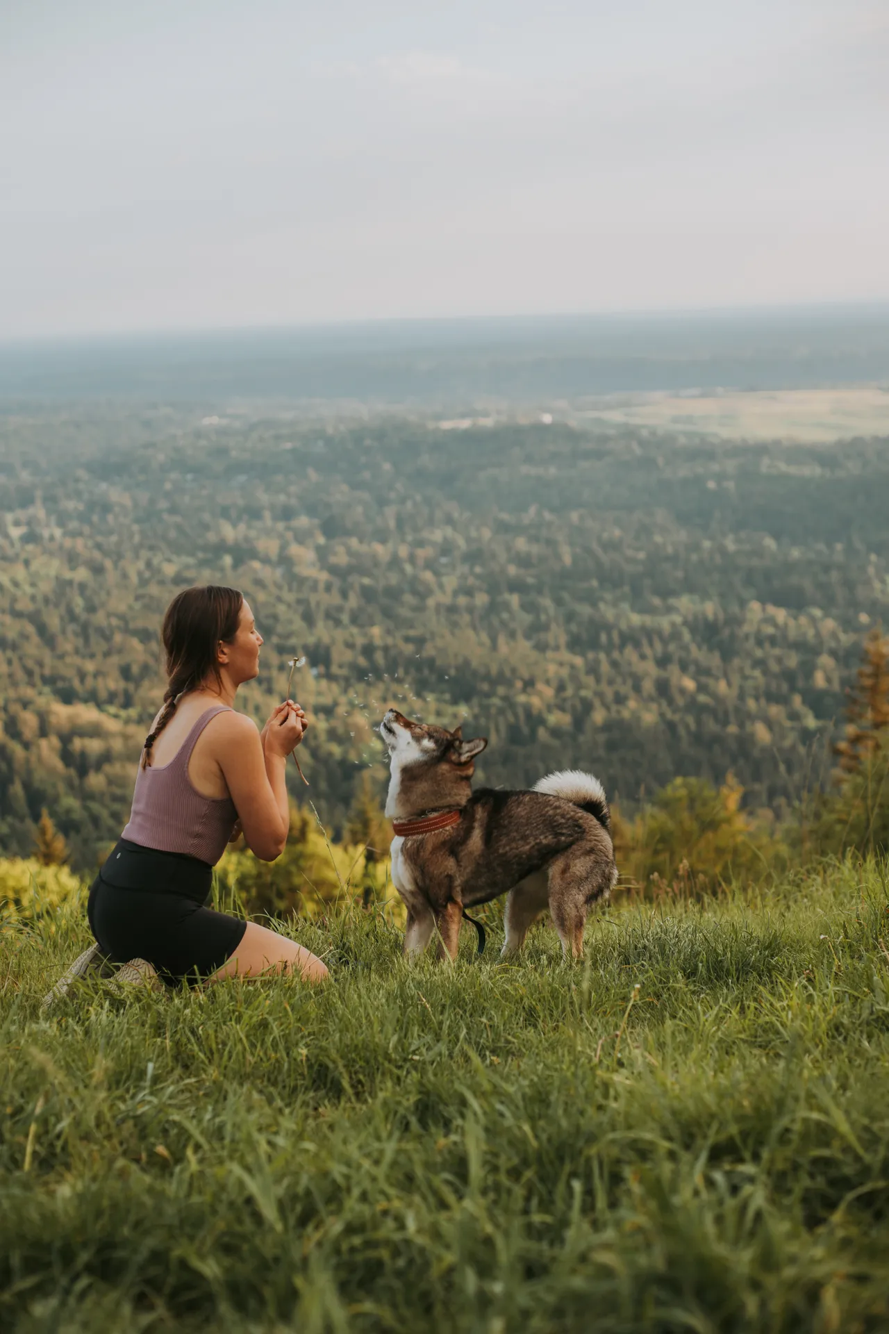 a girl blowing a dandelion at her dog