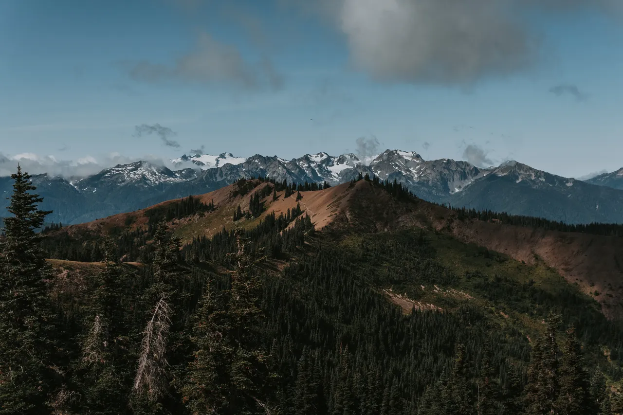 sunset ridge viewpoint olympic national park