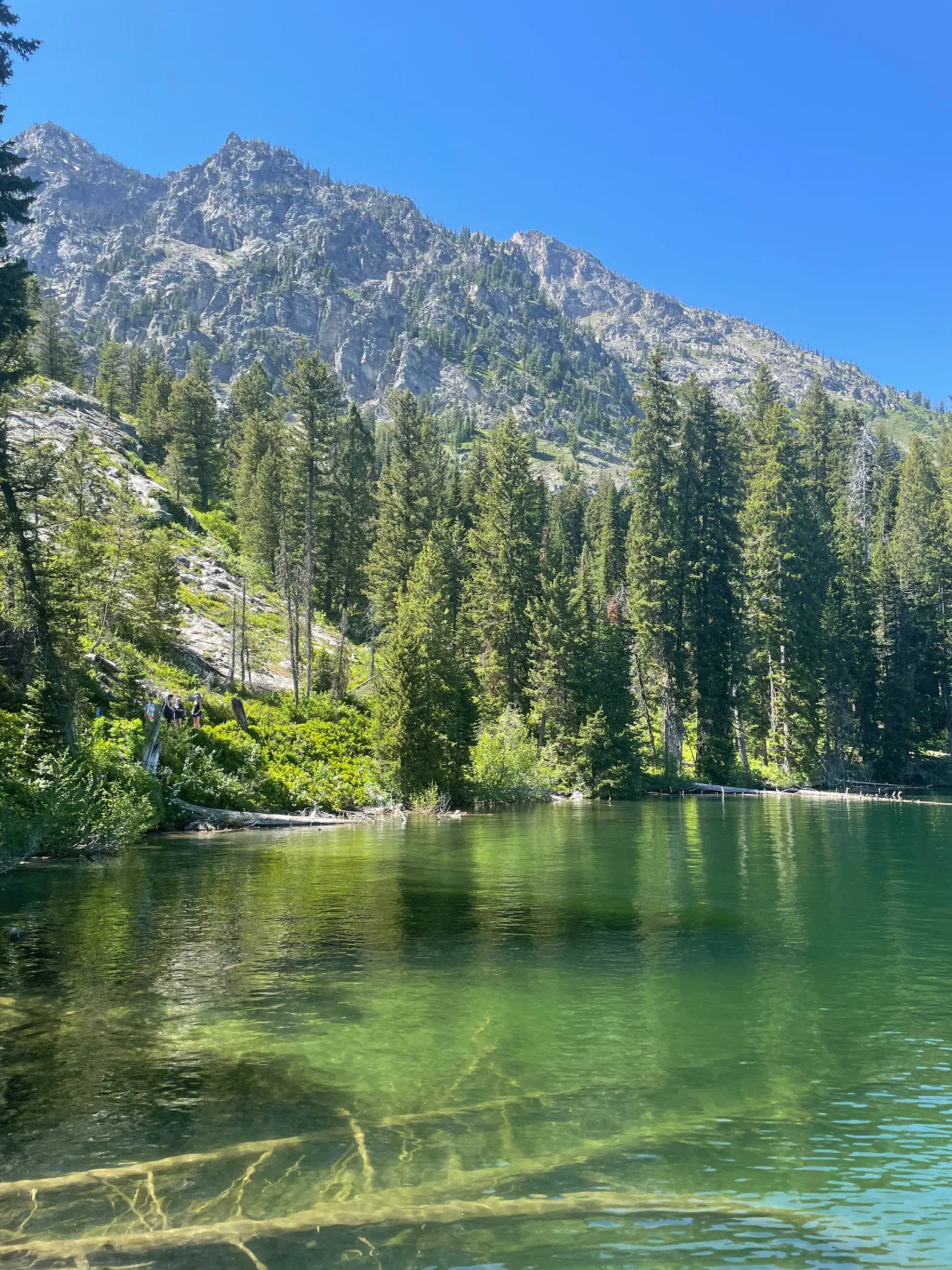 cascade canyon trail grand tetons