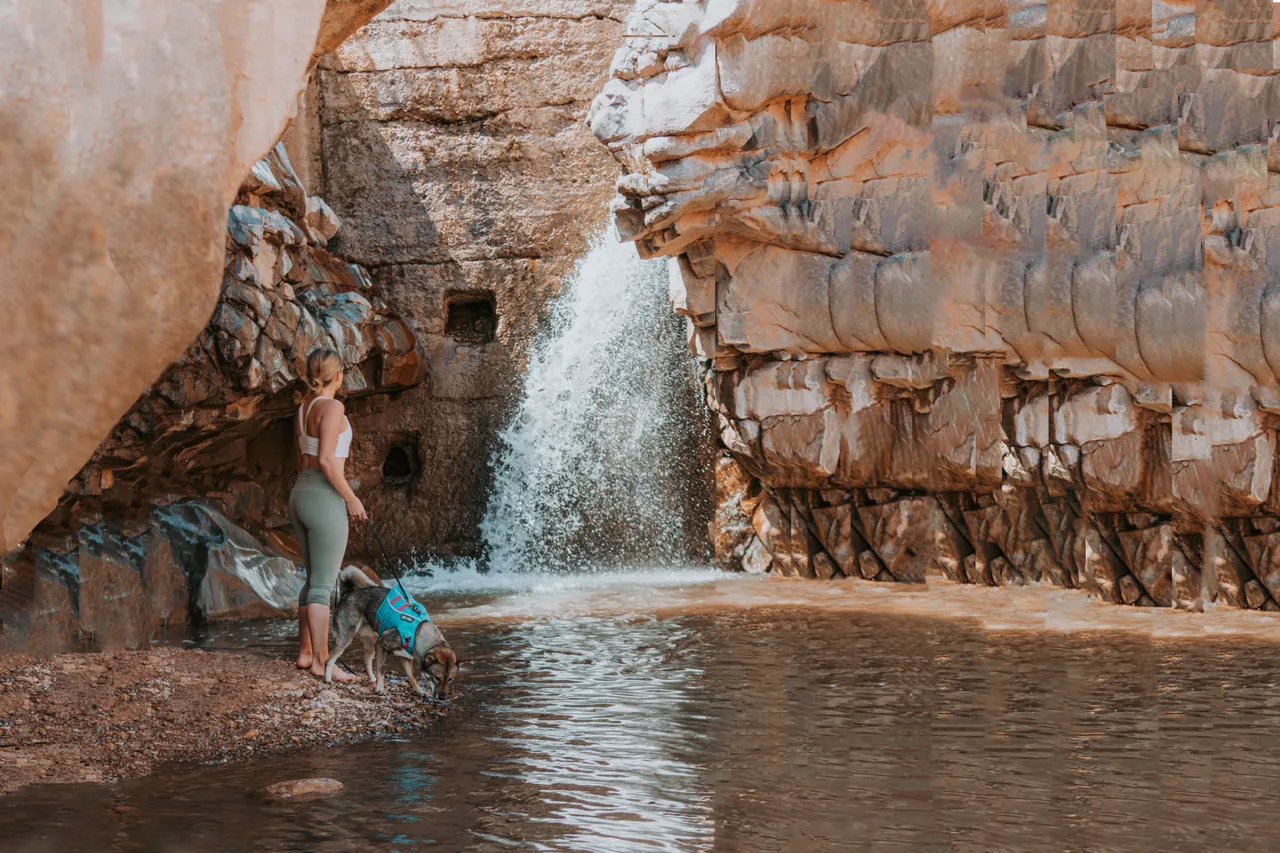 a girl and her dog watering hole Dominguez Canyon
