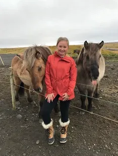 icelandic ponies