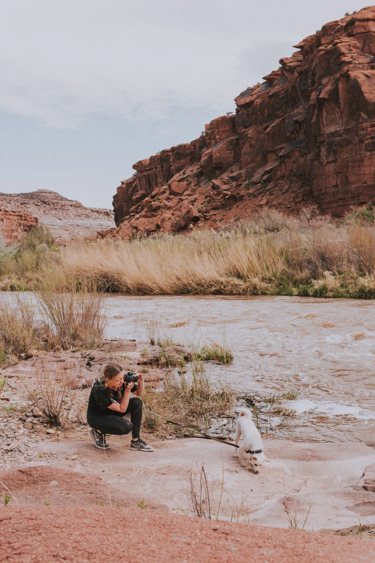 a girl taking a photo of her shiba inu