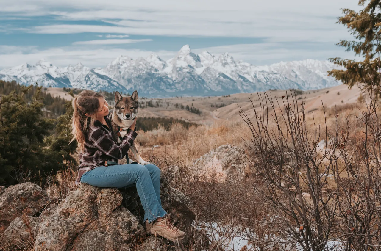 the wedding tree fall