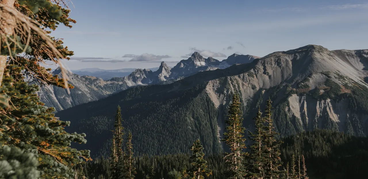 mount rainier national park mountainscape