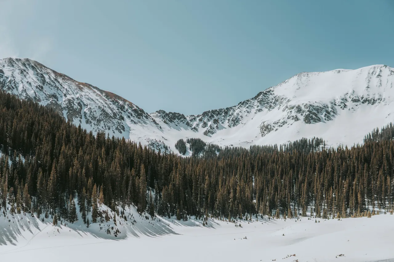 Taos New Mexico Ski Valley: Lodging, Dog-friendly Hikes, & more!