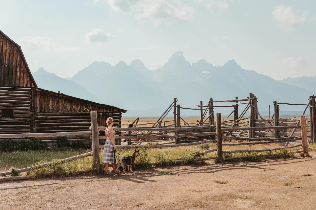 Exploring Jackson Hole, Wyoming: Photography and Hiking in Grand Teton National Park, Dog-Friendly Stays & Places to fly your Drone