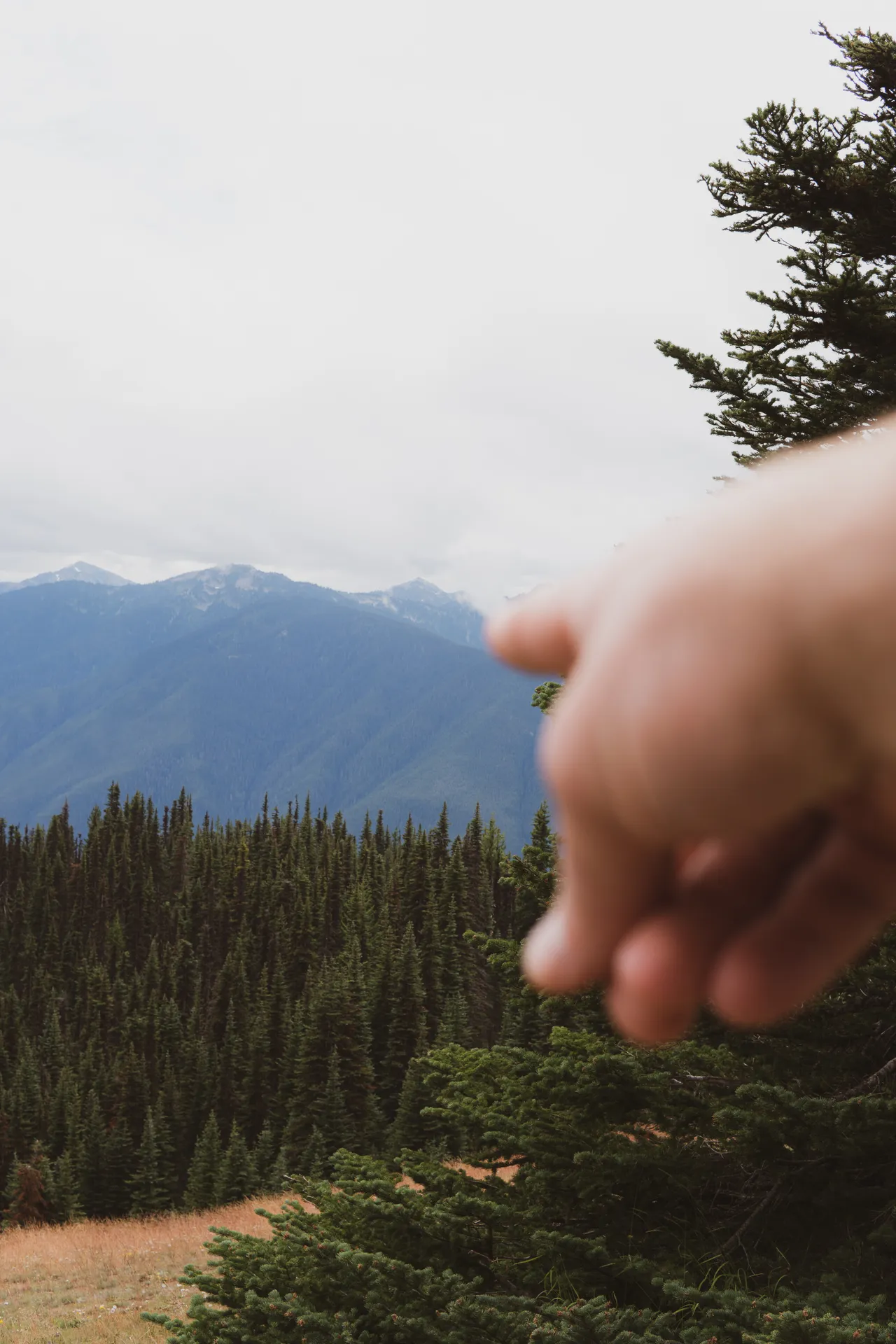 pointing finger at mountains