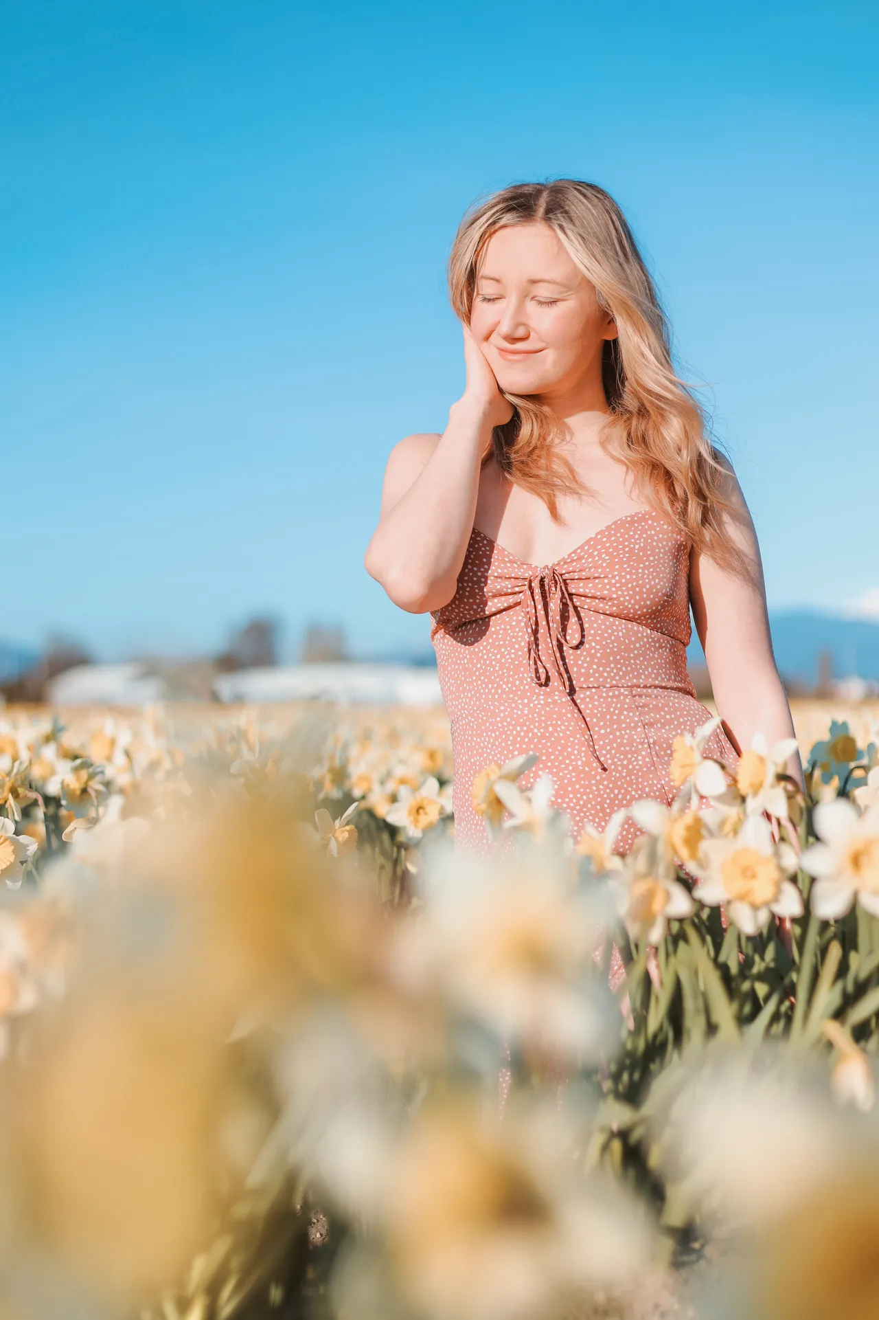 a blonde girl in a field of daffodils at roozengaarde
