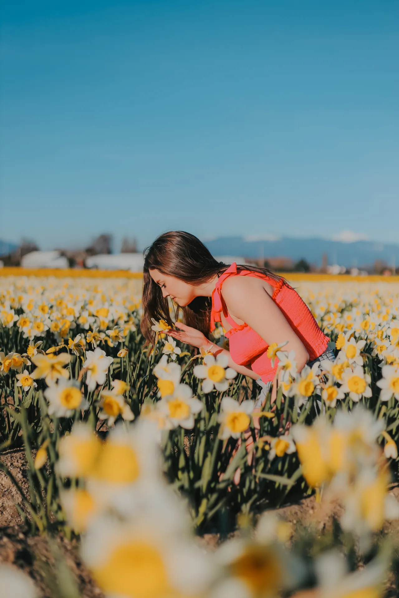 a brunette girl in a field of daffodils at roozengaarde