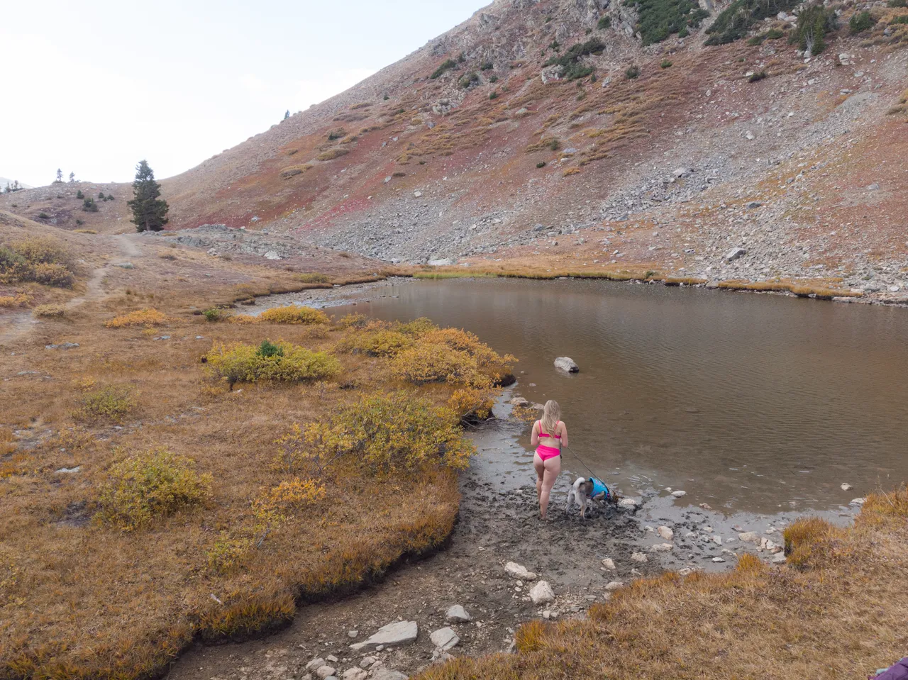 a girl in a swimsuit with her dog going into a lake