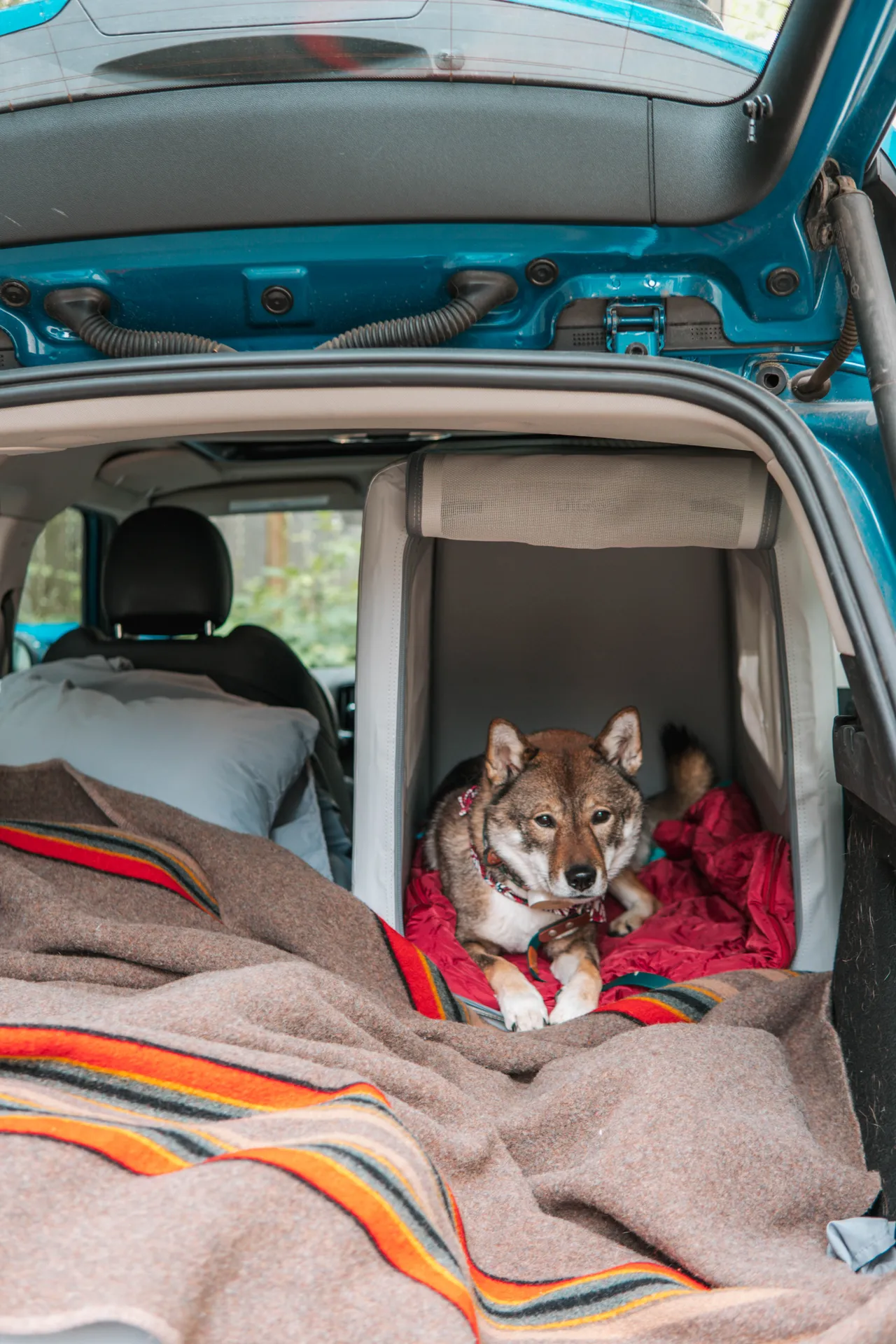 diggs inflatable travel crate