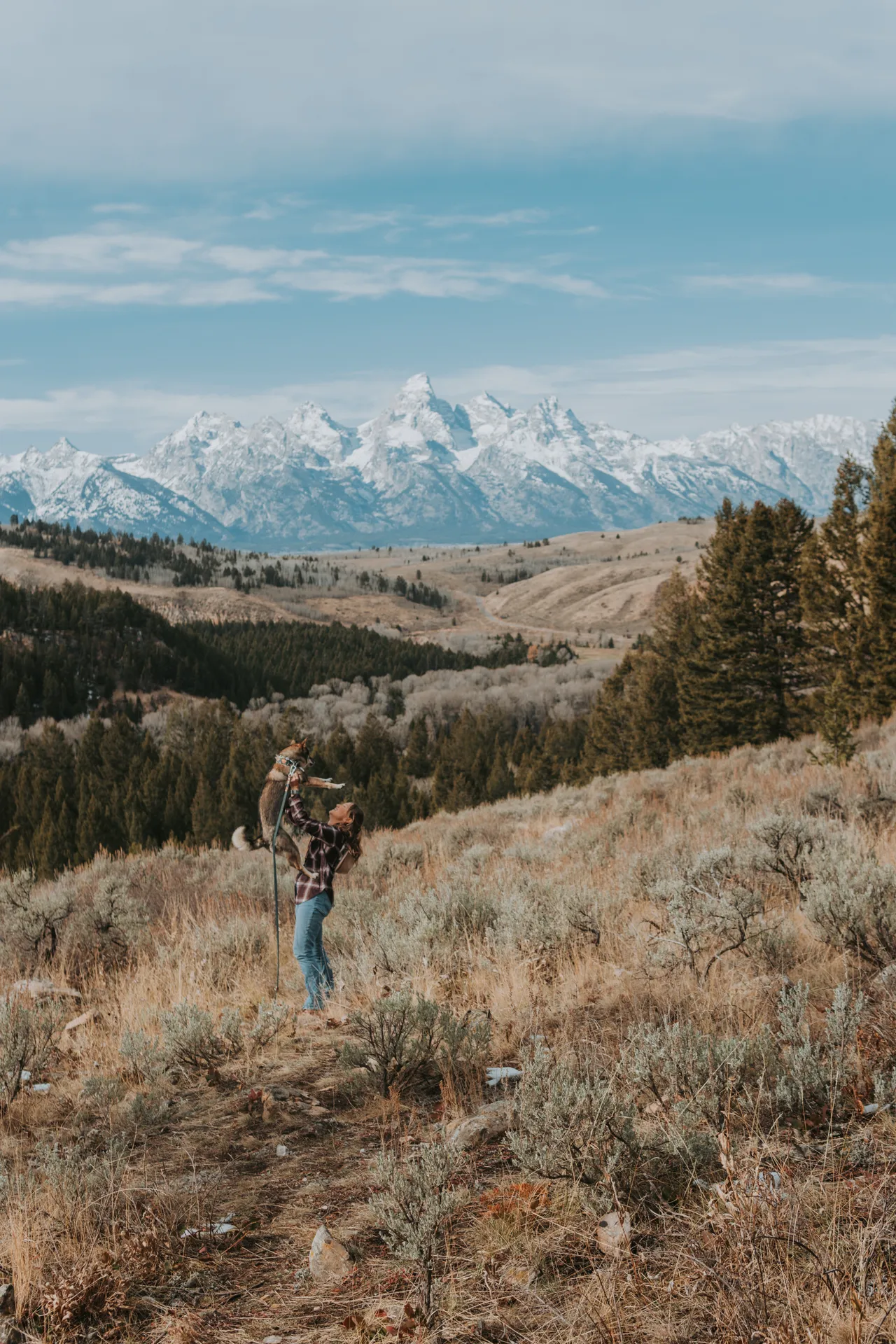 the wedding tree dog-friendly