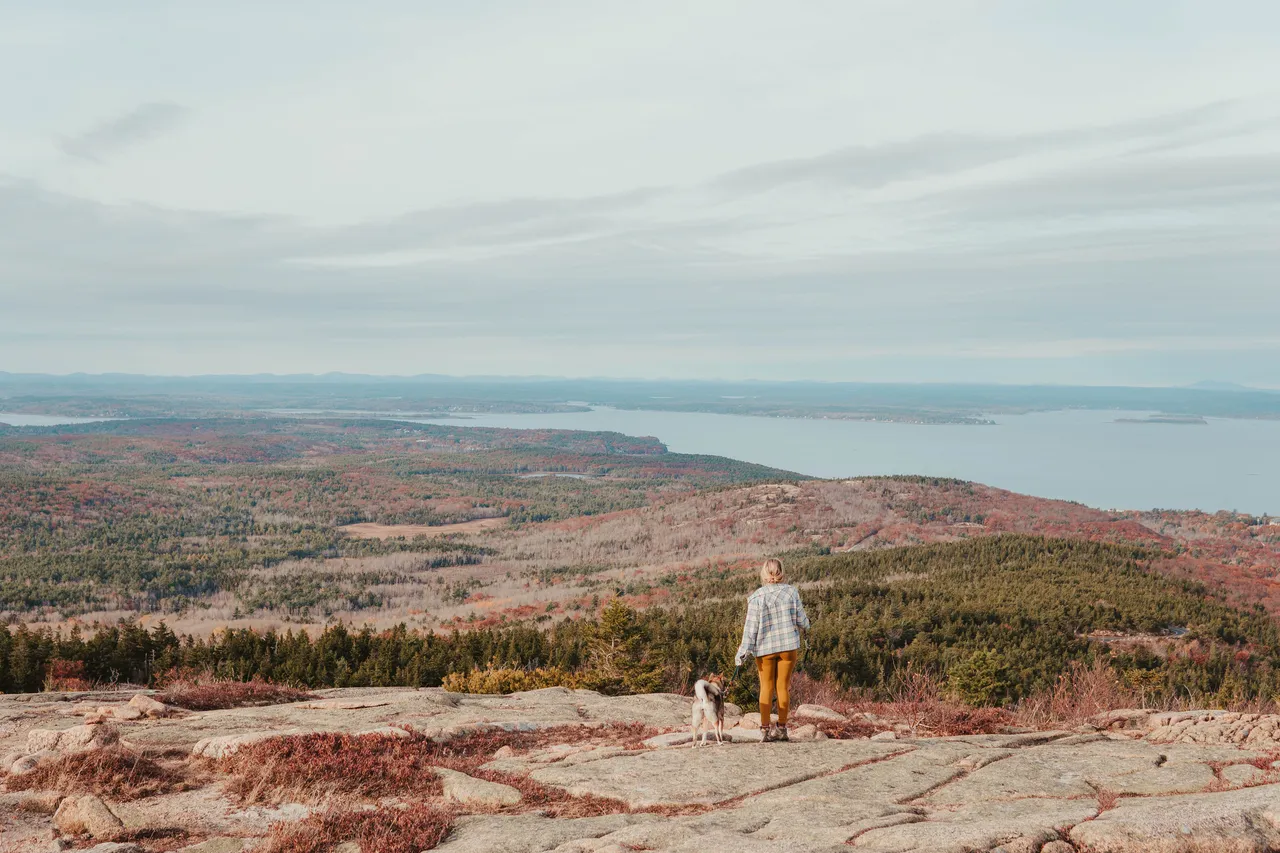 Sora and I looking out over fall foliage from Cadillac Mountain in Acadia National Park, Maine