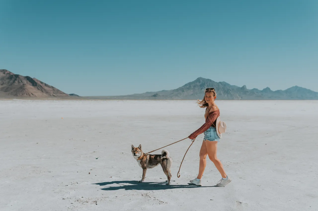 Walking with Sora across the Bonneville Salt Flats, mountains in the distance