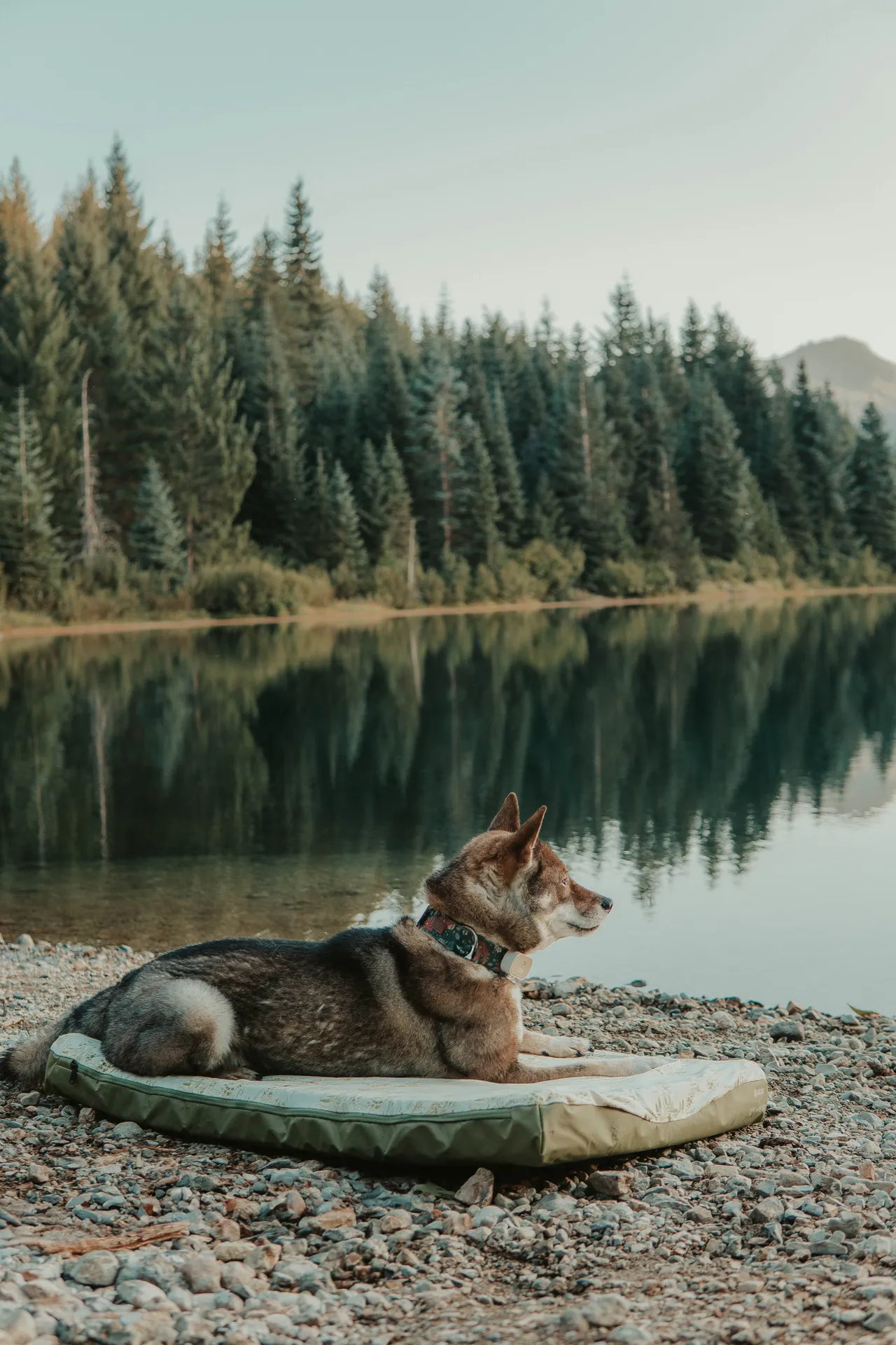 Color and composition in a content shoot