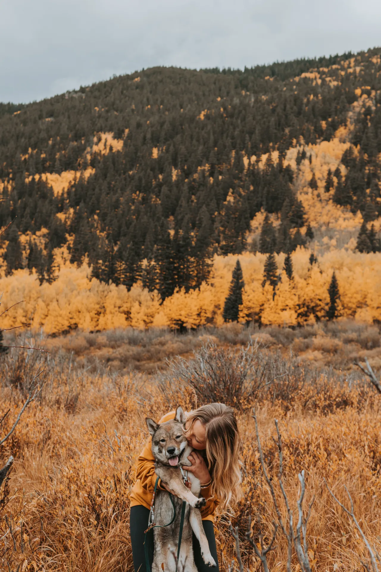 Hugging Sora in golden autumn foliage in Colorado