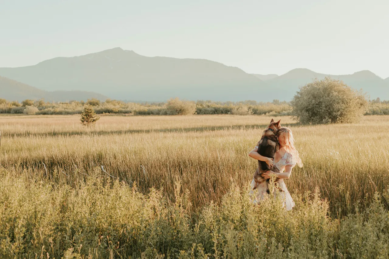 Golden hour in a mountain meadow, holding Sora in a white dress