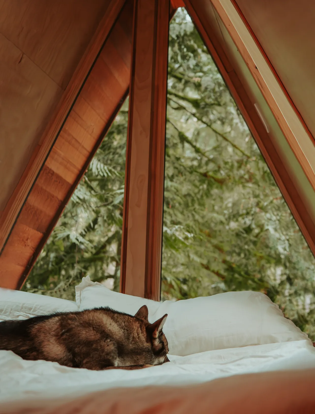 Cozy cabin stay content shoot