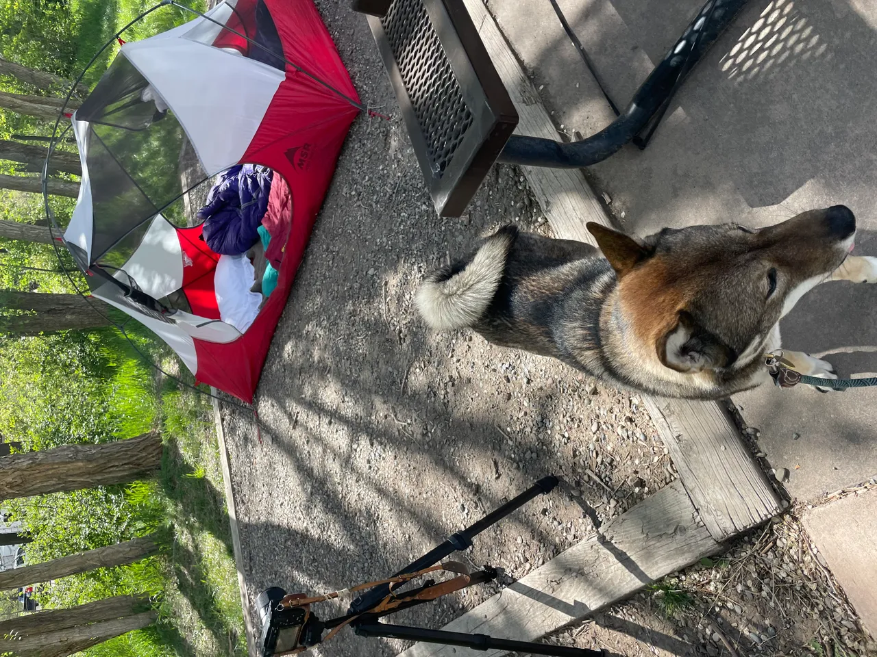 Camera setup on tripod during a shoot