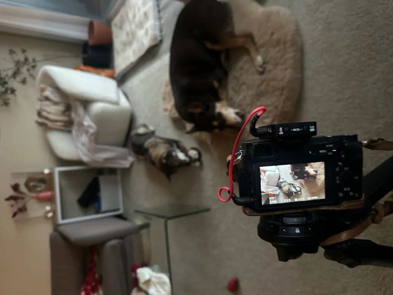 Camera setup on tripod during a shoot