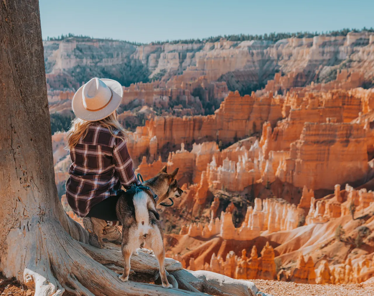 Sitting with Sora overlooking the hoodoos at Bryce Canyon National Park