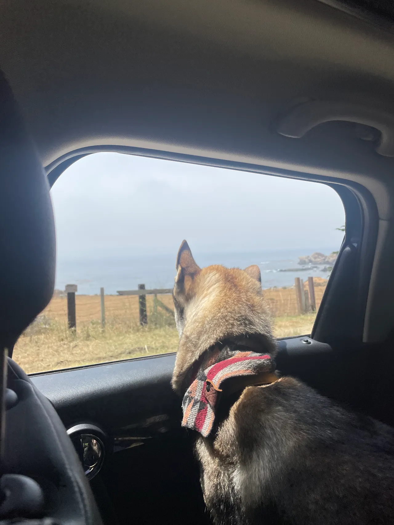 MINI Cooper on the California coast