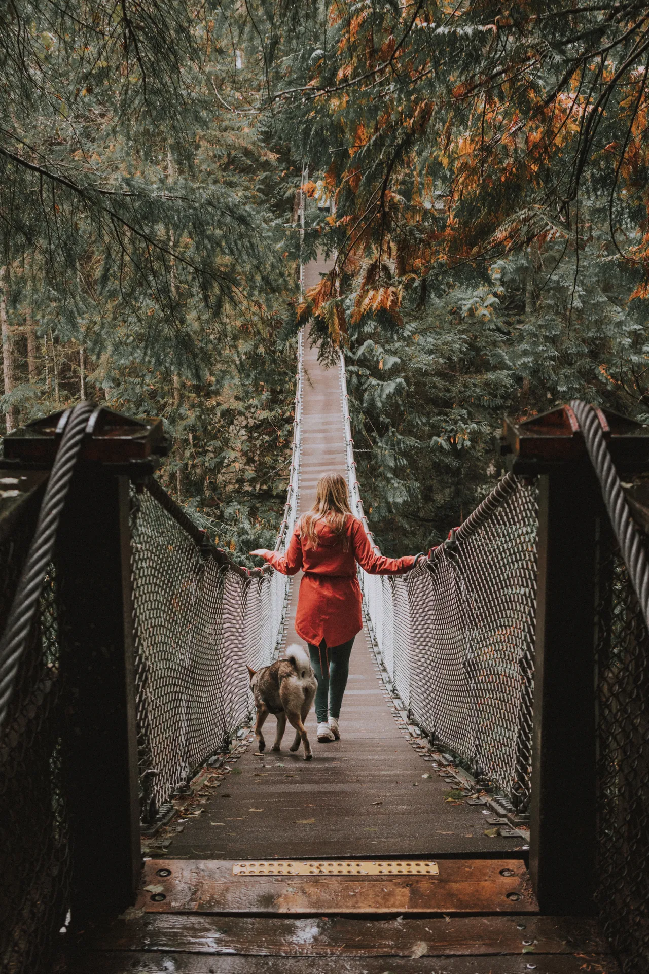 Walking across a suspension bridge in the Vancouver rainforest with Sora
