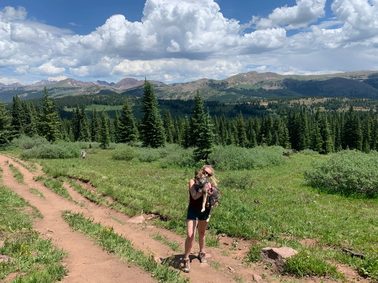 Holding Sora on a dirt trail in the Colorado high country with mountains and wildflowers, summer 2020