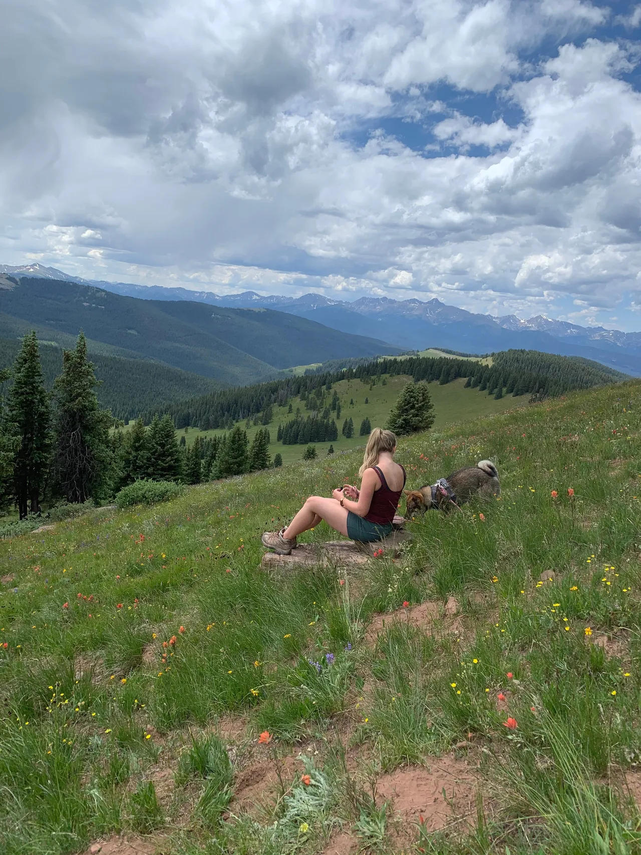Sitting with Sora in a wildflower field in the Colorado high country