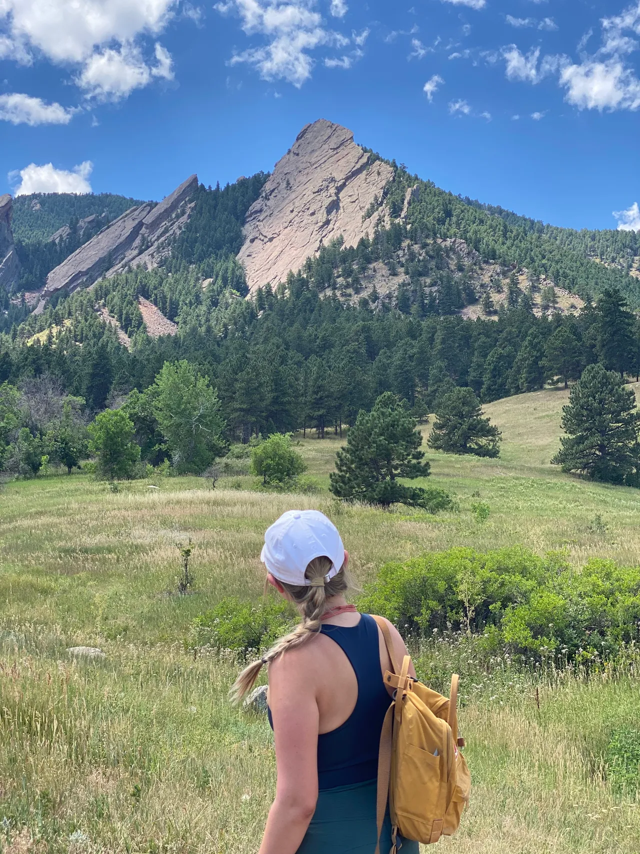 Exploring a Colorado trail with Sora, summer 2020
