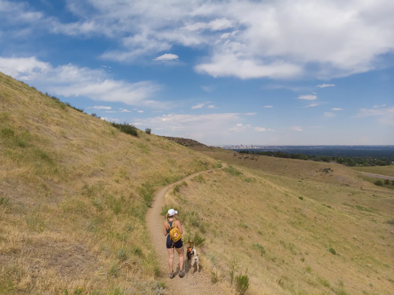 Hiking with Sora on a trail in the Denver foothills with the city skyline in the distance