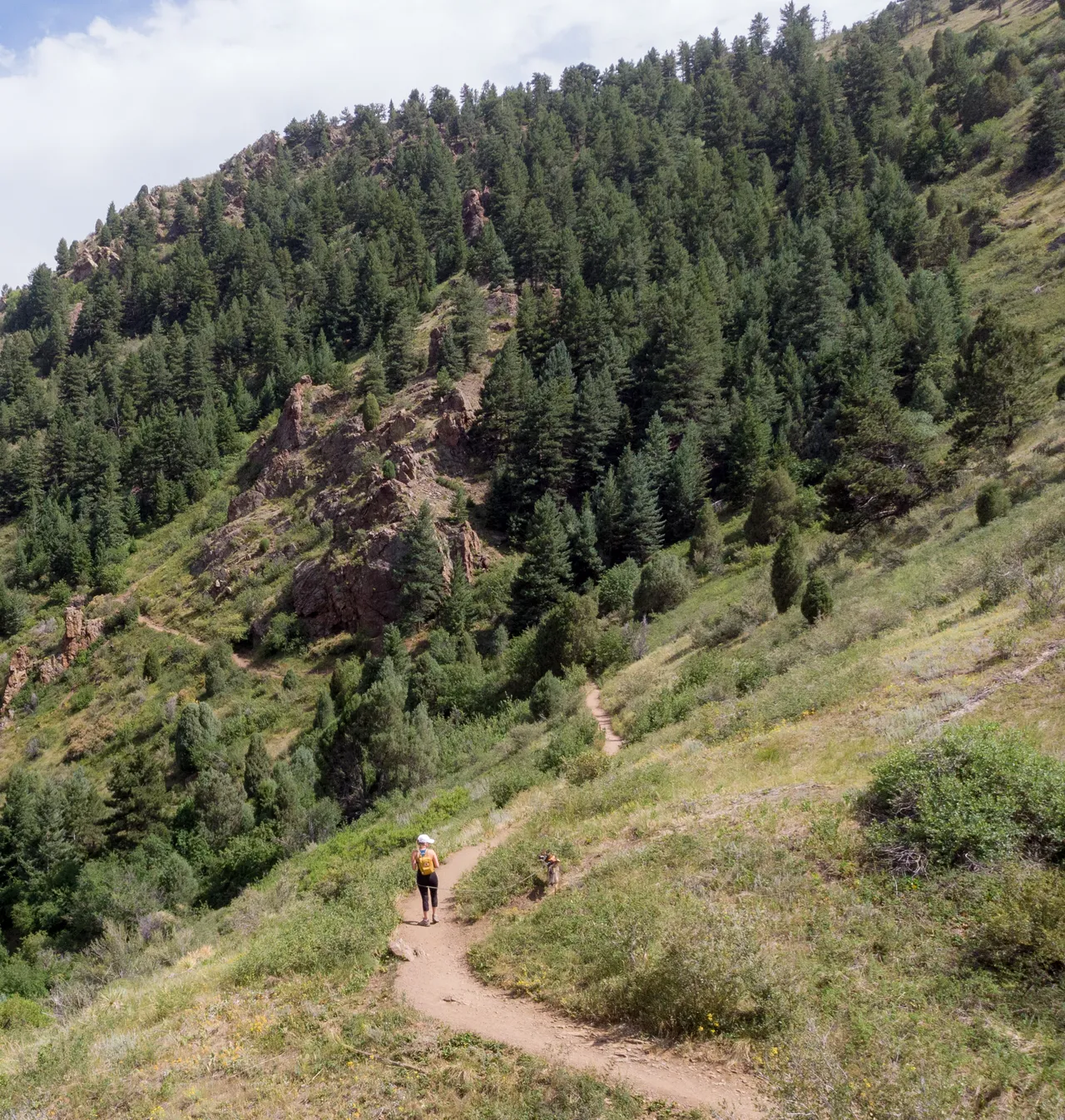 Hiking a winding trail through a forested canyon in the Colorado foothills with Sora
