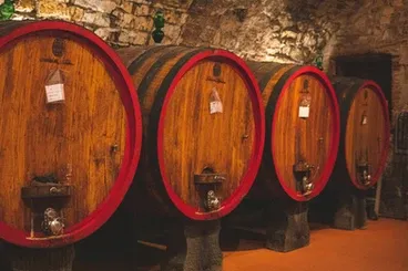 Wine barrels in Tuscany