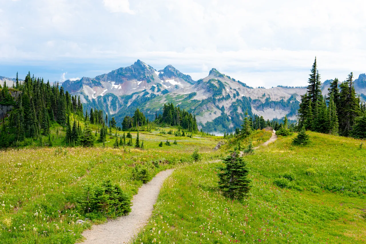Pacific Northwest mountain scenery